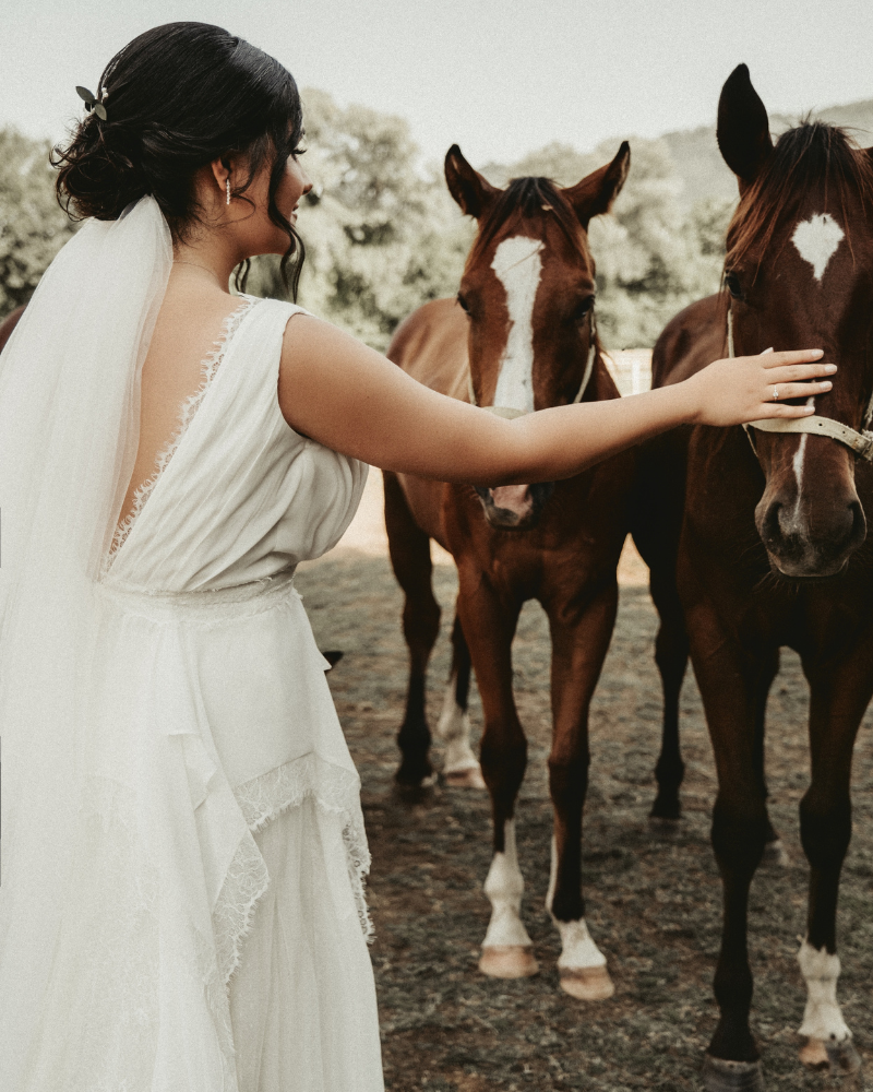 Une femme en robe de mariée avec un voile attaché sous son chignon de cheveux bruns, tendant la main pour caresser des chevaux.