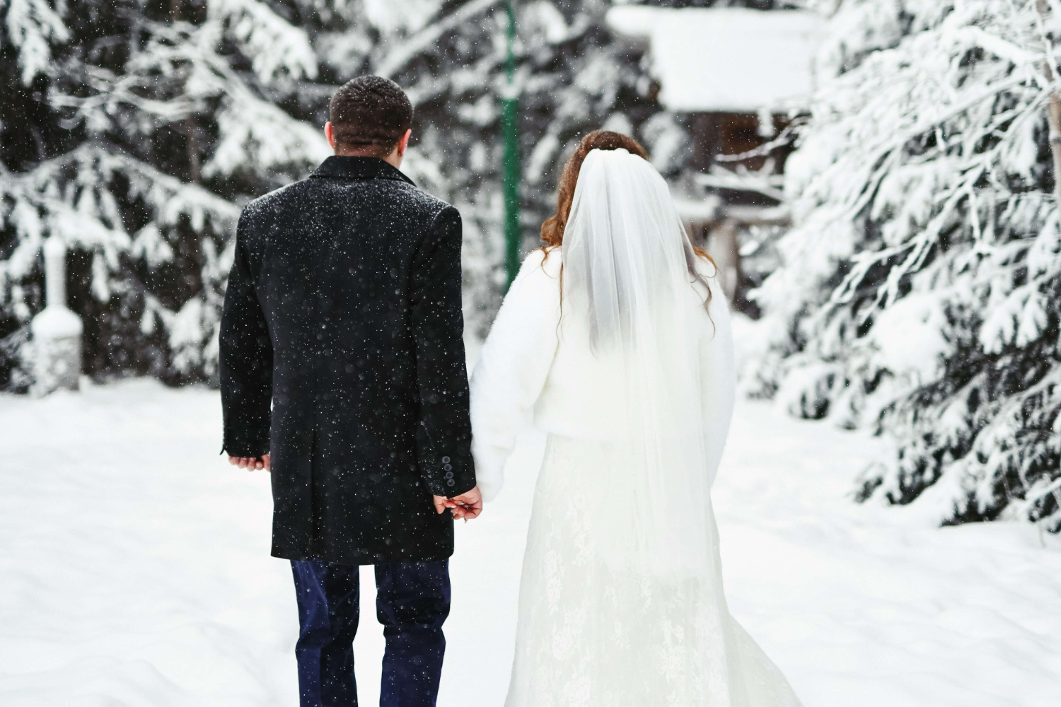 Un couple de mariés vus de dos. La mariée porte une longue robe blanche, un voile et une veste en fourrure. Le marié porte une veste longue noire et un pantalon couleur marine.